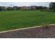 Large, meticulously maintained green space surrounded by modern, multi-story residential buildings, offering a serene, park-like ambiance at 400 E Fremont Pl # 207, Littleton, CO 80122