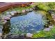 Backyard pond filled with lily pads, blooming flowers, and natural rock border at 11932 W 56Th Cir, Arvada, CO 80002