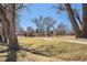 Scenic park view with a pathway winding through trees and lush greenery, ideal for leisurely strolls at 11744 W 71St Pl, Arvada, CO 80004