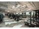 Well-equipped fitness center with treadmills, weight machines, and ample natural light at 8595 Gold Peak Dr # A, Highlands Ranch, CO 80130