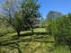 Lush, green backyard with mature trees and ample space for outdoor activities at 1251 Lee St, Lakewood, CO 80215