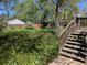 Spacious backyard with wooden stairs and lush greenery, offering a serene outdoor space at 1251 Lee St, Lakewood, CO 80215