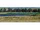 Picturesque creek meandering through grassy terrain, showcasing the tranquility and beauty of nature at 6597 S State Highway 83, Franktown, CO 80116
