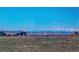 Herd of horses grazing peacefully in a picturesque field, surrounded by panoramic mountain views at 6597 S State Highway 83, Franktown, CO 80116