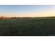 Expansive landscape under the clear sky, creating a serene setting for outdoor activities at 6597 S State Highway 83, Franktown, CO 80116