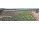 Sprawling pasture ready for grazing or agricultural use; the perfect setting for your ranching aspirations at 6597 S State Highway 83, Franktown, CO 80116