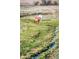 Scenic pasture with two horses grazing near a gentle stream, showcasing a tranquil and picturesque setting at 6597 S State Highway 83, Franktown, CO 80116
