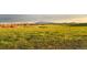 Expansive grassy property offering scenic mountain views, perfect for outdoor activities and enjoying nature at 6597 S State Highway 83, Franktown, CO 80116