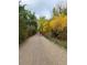 Enjoy the scenic street view with friends walking along the dirt path surrounded by trees at 6087 S Elizabeth Way, Centennial, CO 80121