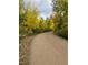 Scenic street view of a dirt road lined with colorful trees in autumn at 6087 S Elizabeth Way, Centennial, CO 80121