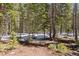 Lush backyard with towering trees, perfect for enjoying nature and the outdoors at 400 Upper Forest Rd, Idaho Springs, CO 80452