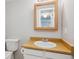 Bathroom featuring a toilet and a vanity sink with mirror at 19322 E Eldorado Dr, Aurora, CO 80013