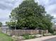 Backyard featuring a wooden fence, mature trees, and lawn at 188 S Dale Ct, Denver, CO 80219