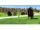 Scenic park featuring unique buffalo sculptures, a paved pathway, and verdant greenery creates a tranquil outdoor space at 16550 Antero Cir, Broomfield, CO 80023
