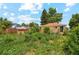 Green backyard offering privacy with a wood fence, mature trees, and patio space for outdoor enjoyment at 1175 Xanthia, Denver, CO 80220