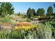 Lush garden landscape features vibrant flowers and greenery, nestled in a serene outdoor setting at 9980 W Jewell Ave # B, Lakewood, CO 80232