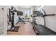 Bright home gym featuring a treadmill, weight machine, large window, and light wood floors at 10757 Timberdash Ave, Highlands Ranch, CO 80126