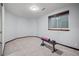 Basement exercise area featuring carpet flooring, a window for natural light, and workout equipment at 1011 S Valentia St # 3, Denver, CO 80247