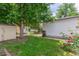 Backyard featuring a storage shed, grass, mature trees, and red roses at 2845 Eaton St, Wheat Ridge, CO 80214