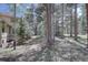 Secluded backyard featuring mature trees, natural landscaping, and steps leading to the house at 2828 Keystone Dr, Evergreen, CO 80439