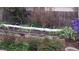 Established garden area with trellises and green vegetation at 1339 Quince St, Denver, CO 80220