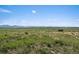 Scenic open space with lush greenery and a distant view of the majestic mountains at 1043 Lilac Ct, Broomfield, CO 80020