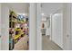 Storage room with neatly organized shelves filled with bins and boxes leading to laundry room at 3163 S Boston Ct, Denver, CO 80231