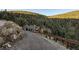 Beautiful mountain home surrounded by lush trees and greenery at 10197 Crest View Dr, Morrison, CO 80465