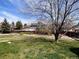 A broad backyard with lush lawn, mature trees, a dark wood fence, and a detached two-car garage at 11506 Greenbriar Ln, Parker, CO 80138