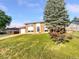 Two-story brick home with an attached garage, front lawn, and a mature blue spruce tree at 12238 Monroe Dr, Thornton, CO 80241