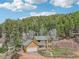 Exterior view of home surrounded by lush trees at 13314 Spruce Creek Cir, Larkspur, CO 80118