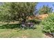 Lush backyard featuring a mature shade tree and outdoor seating area, perfect for relaxing at 6043 S Cody Way, Littleton, CO 80123