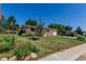 Lovely home with a green lawn, complemented by a small tree and a few garden areas at 6043 S Cody Way, Littleton, CO 80123