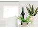 Bright white kitchen countertop features tasteful decor with plants and a bottle of wine at 1617 S Quitman St, Denver, CO 80219