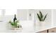 Bright kitchen featuring modern countertops, decor, and ample natural light at 1617 S Quitman St, Denver, CO 80219