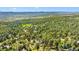 Scenic aerial of a lush forest landscape with a home nestled amongst the trees, offering a tranquil setting at 18971 Shadowood Dr, Monument, CO 80132