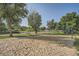 Outdoor sand volleyball court surrounded by trees and grass at 451 Golden Cir # 210, Golden, CO 80401