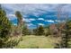 Expansive backyard surrounded by trees at 24 Pine Valley Rd, Evergreen, CO 80439