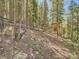 Charming wooded cabin nestled in a serene forest setting at 8451 London Ln, Conifer, CO 80433