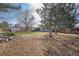 Large backyard with established landscaping, covered patio and mature trees at 13036 Clayton Ct, Thornton, CO 80241