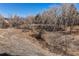 Tranquil creek and nature area surrounded by mature trees and natural landscape at 8109 E Phillips Cir, Centennial, CO 80112