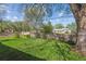 This large backyard features lush green lawn, mature trees, privacy fence, and plenty of space for outdoor activities at 6882 Moore St, Arvada, CO 80004