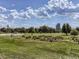 Expansive park view featuring lush green lawns, mature trees, and a vibrant blue sky with scattered clouds at 3120 N Race St, Denver, CO 80205