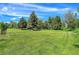 Expansive backyard with lush greenery and mature trees, offering a serene outdoor space at 7800 Indiana St, Arvada, CO 80007