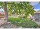 Landscaped backyard featuring a mature tree, stone borders, and well-maintained lawn at 6991 Warren Dr, Denver, CO 80221