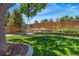 Lush backyard featuring a tree swing, well-maintained lawn, and a privacy fence, perfect for relaxation and play at 1774 Brookside Dr, Highlands Ranch, CO 80126