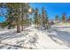 Beautiful backyard with snow, trees, and a view of the surrounding landscape at 9228 Lone Timber Ct, Parker, CO 80134