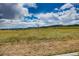 Open space view with grass, a dead tree, and distant mountains at 12919 W Burgundy Dr, Littleton, CO 80127