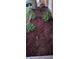 Well-maintained flowerbed with fresh mulch and newly planted flowers at 6233 W 75Th Ave, Arvada, CO 80003