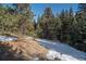 Wooded backyard with snow on the ground at 5925 Herzman Dr, Evergreen, CO 80439